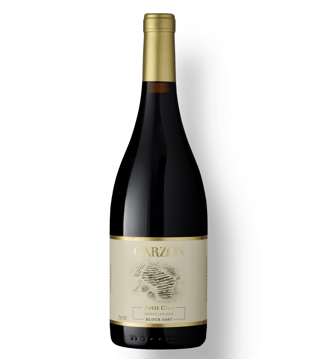 Garzon petit clos albarino